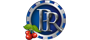 Casino Platinum Reels